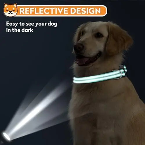 YTYIN Reflective Dog Collar, Adjustable Buckle For Safe Comfort