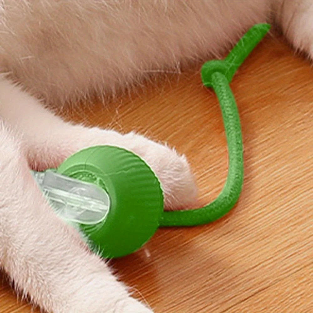 Automatic Interactive Cat Ball Toy Rechargeable With Faux Tail