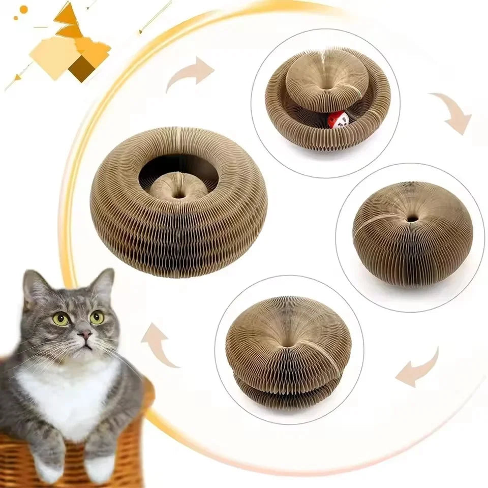 Cat Scratch Organ Board Toy With Ball For Indoor Cats