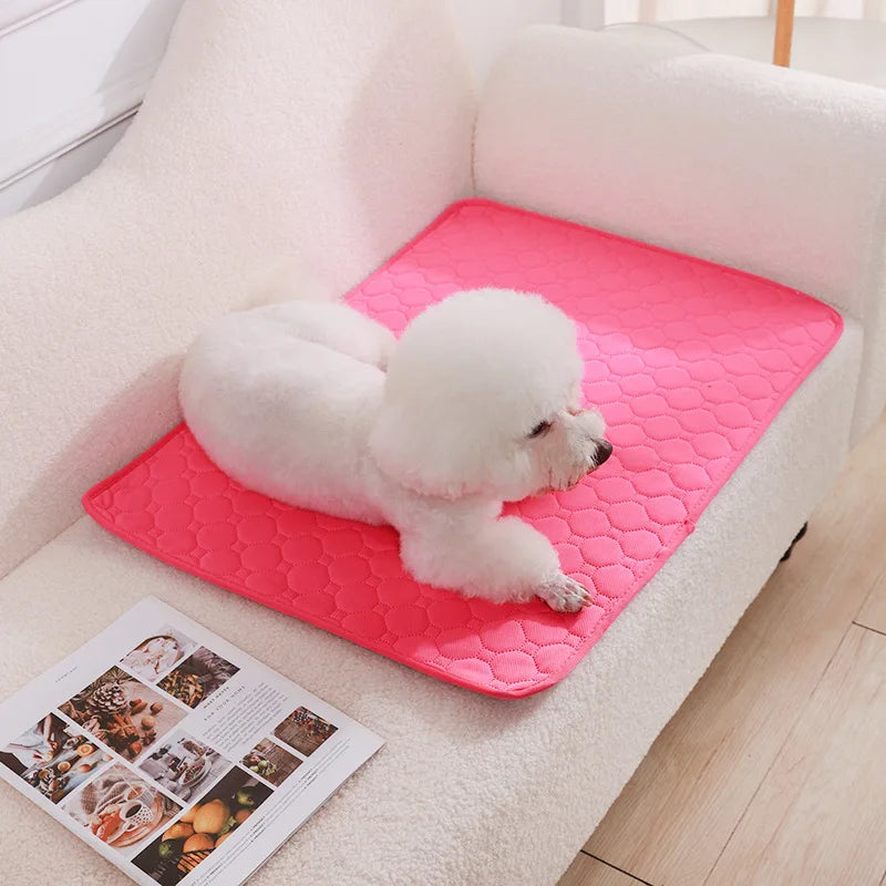 Reusable Dog Pee Pad Blanket Absorbent Washable Training Mat