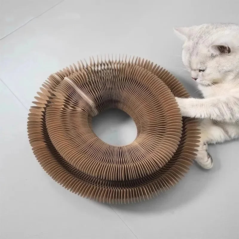 Cat Scratch Organ Board Toy With Ball For Indoor Cats