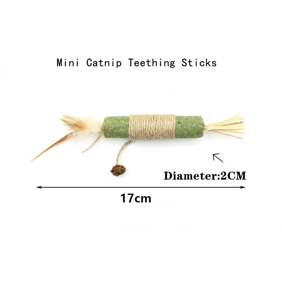 Smart Cat Toys Interactive Ball Squeaky Plush Catnip Training Toy