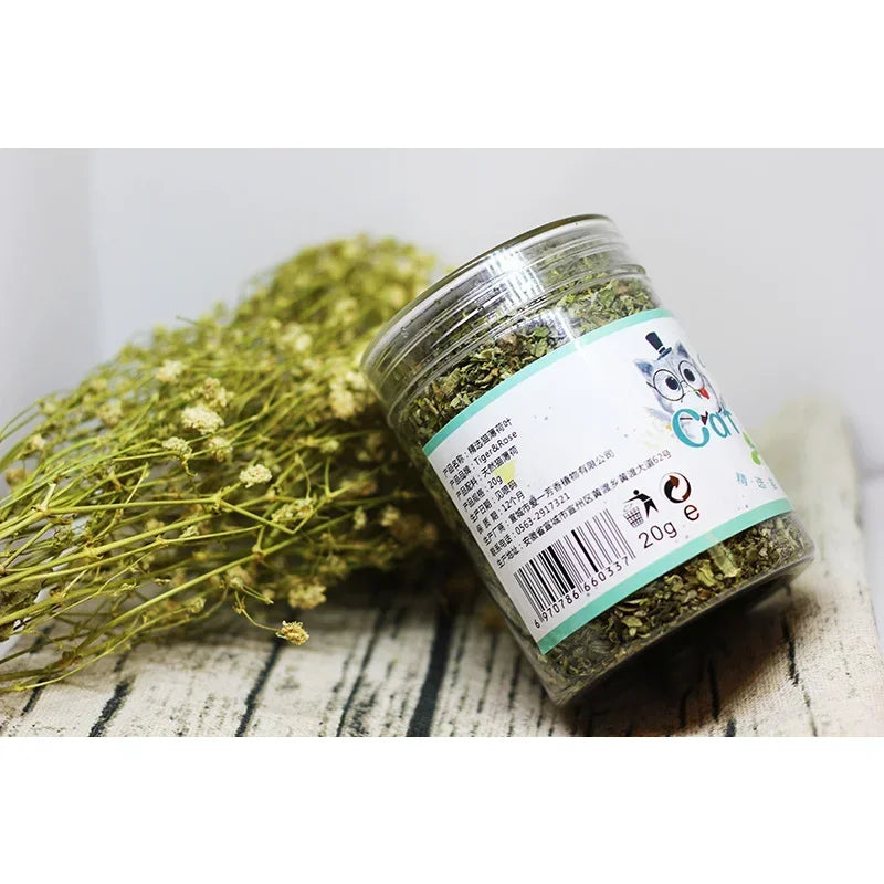 Organic Catnip Mint Ball Toy For Interactive Cat Play
