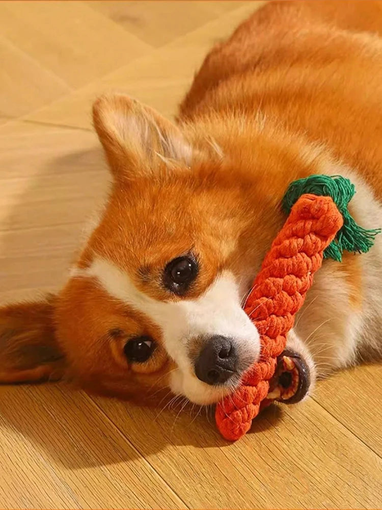 Hand-Woven Cotton Rope Dog Toy For Small And Medium Dogs