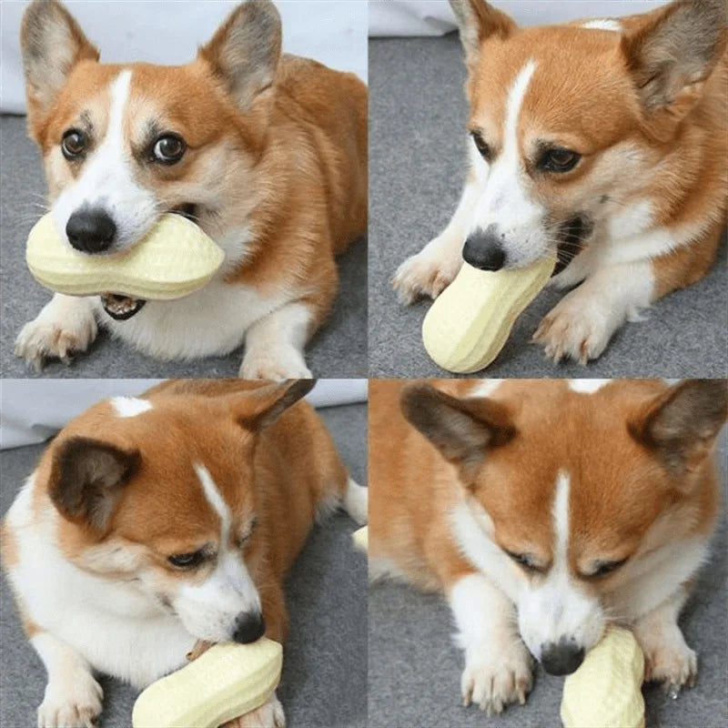 Peanut Shaped Dog Chew Toy Squeaky Interactive Rubber Pet Toy