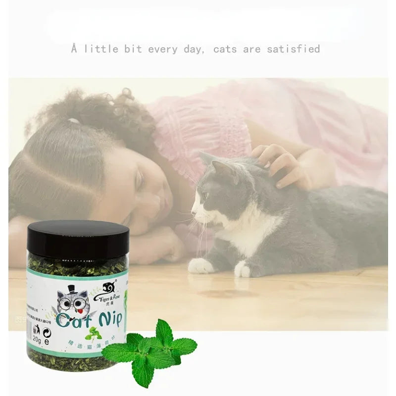 Organic Catnip Mint Ball Toy For Interactive Cat Play