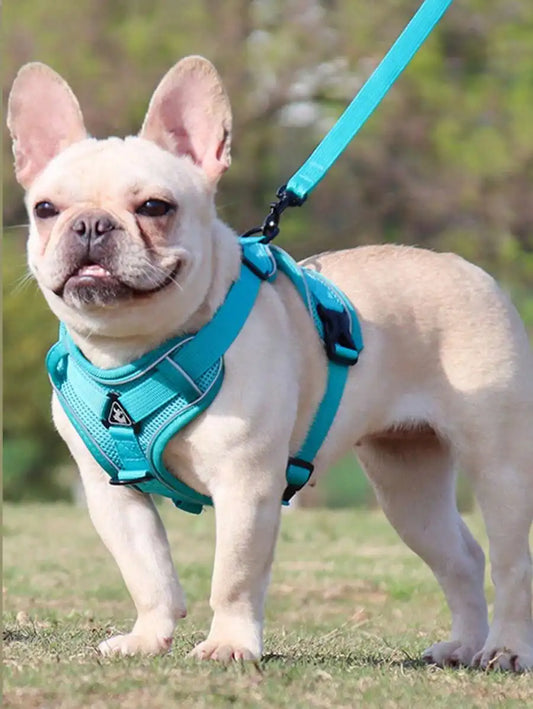 Reflective Pet Harness And Leash Set For Dogs And Cats EscapeProof Adjustable