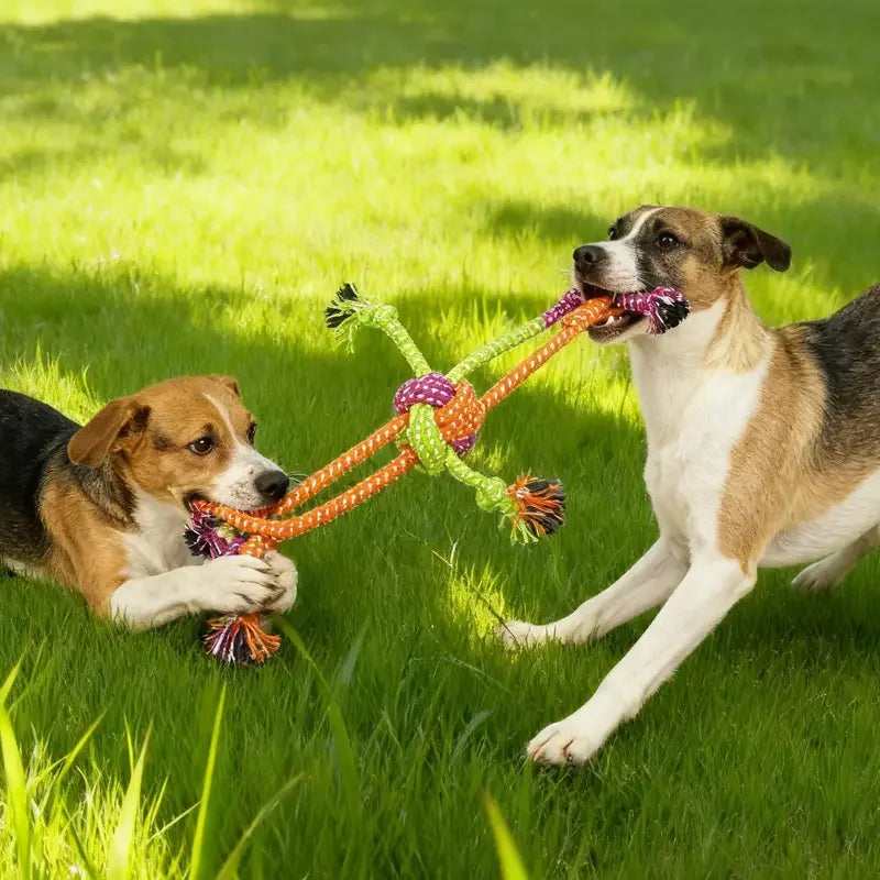 Durable Dog Rope Toy For Teeth Cleaning And Chewing