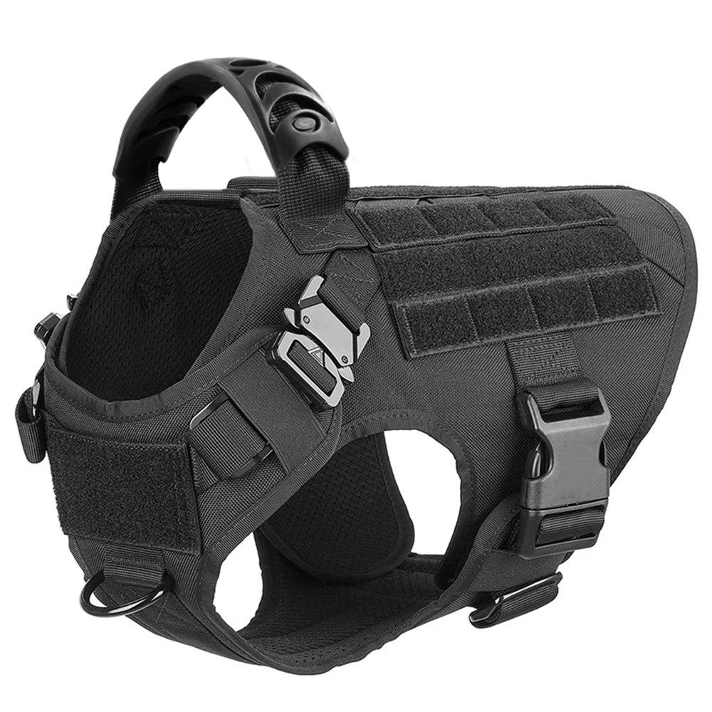 PETRAVEL CN Dog Harness And Leash Set