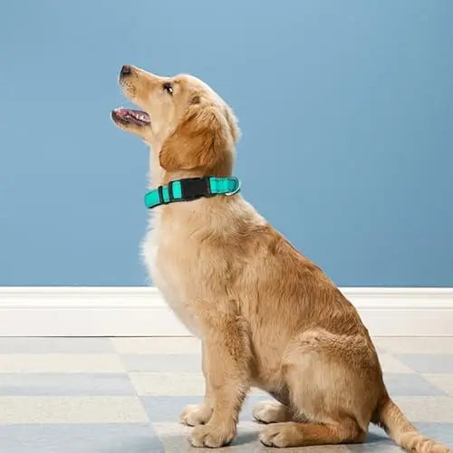 YTYIN Reflective Dog Collar, Adjustable Buckle For Safe Comfort