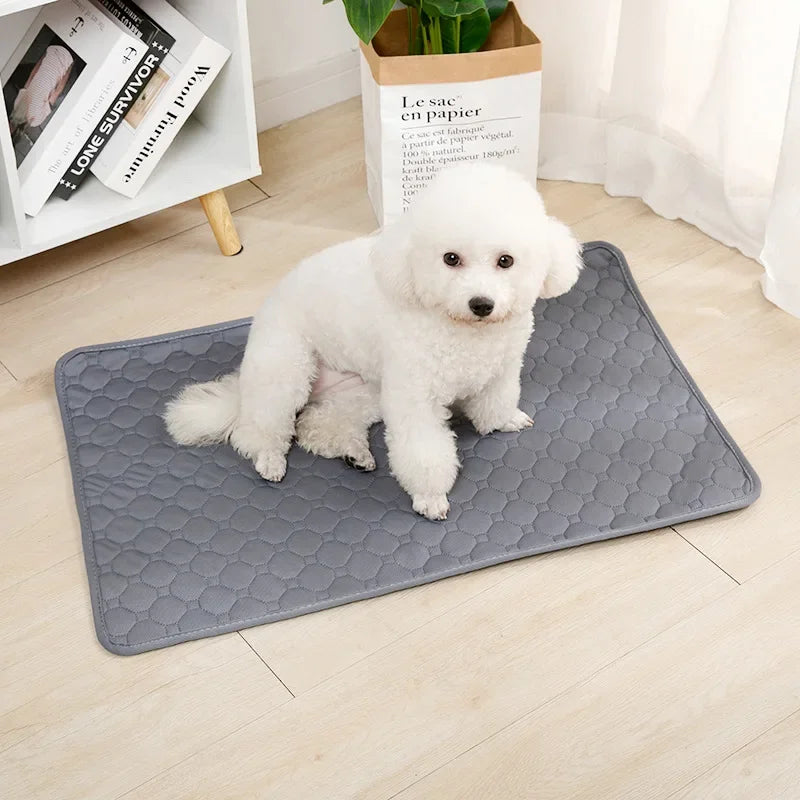 Reusable Dog Pee Pad Blanket Absorbent Washable Training Mat