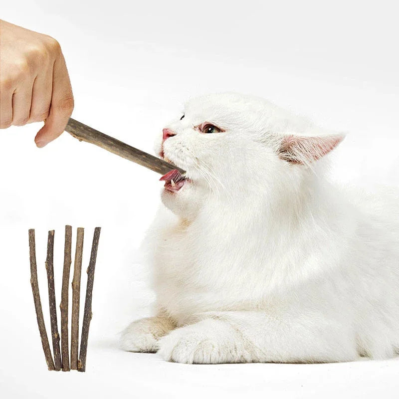 Silvervine Cat Chew Sticks Natural Catnip for Cats and Kittens