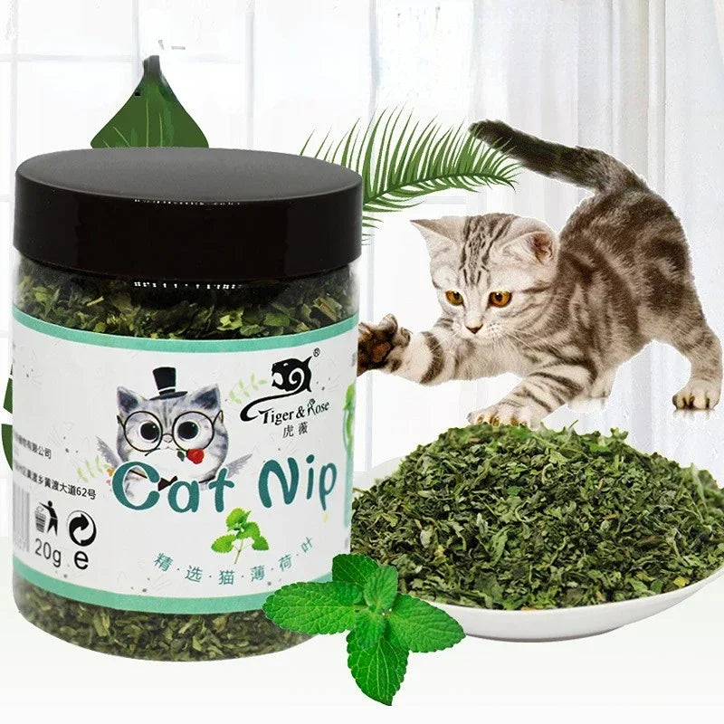Organic Catnip Mint Ball Toy For Interactive Cat Play
