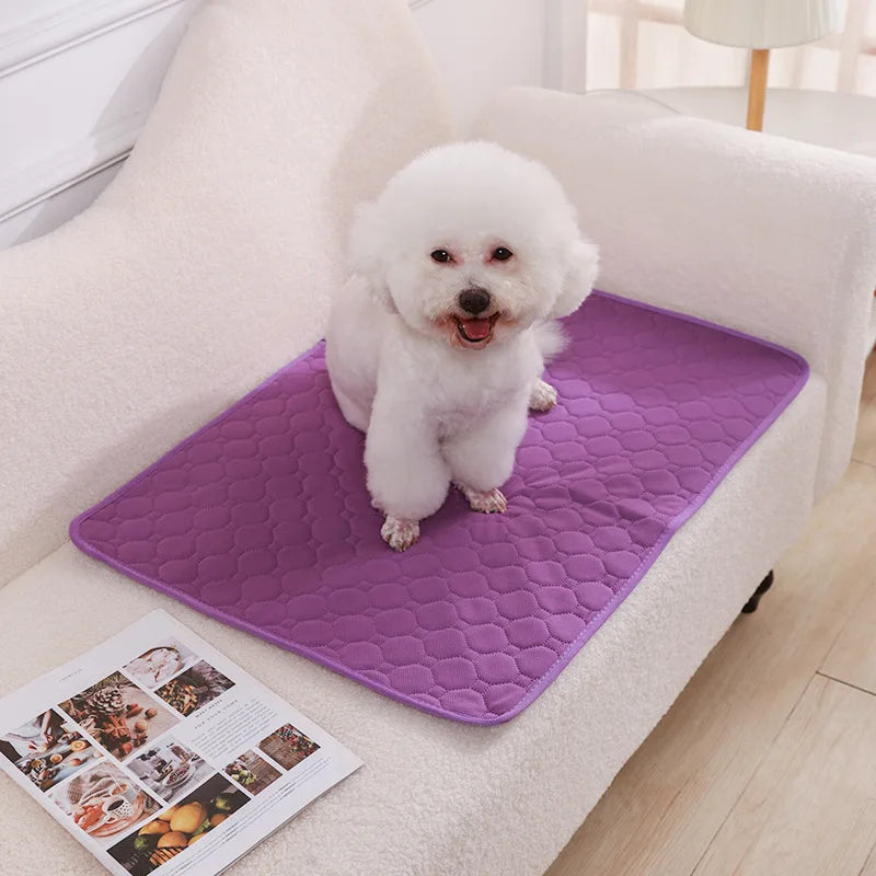 Reusable Dog Pee Pad Blanket Absorbent Washable Training Mat
