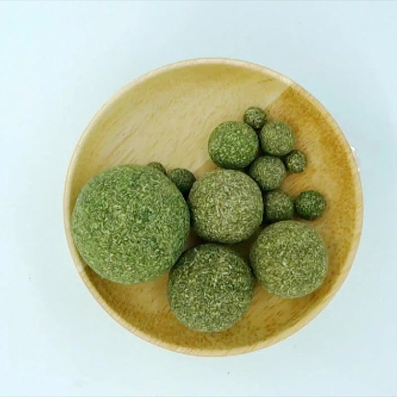 Edible Catnip Ball Toy For Safe Home Cat Chasing Play