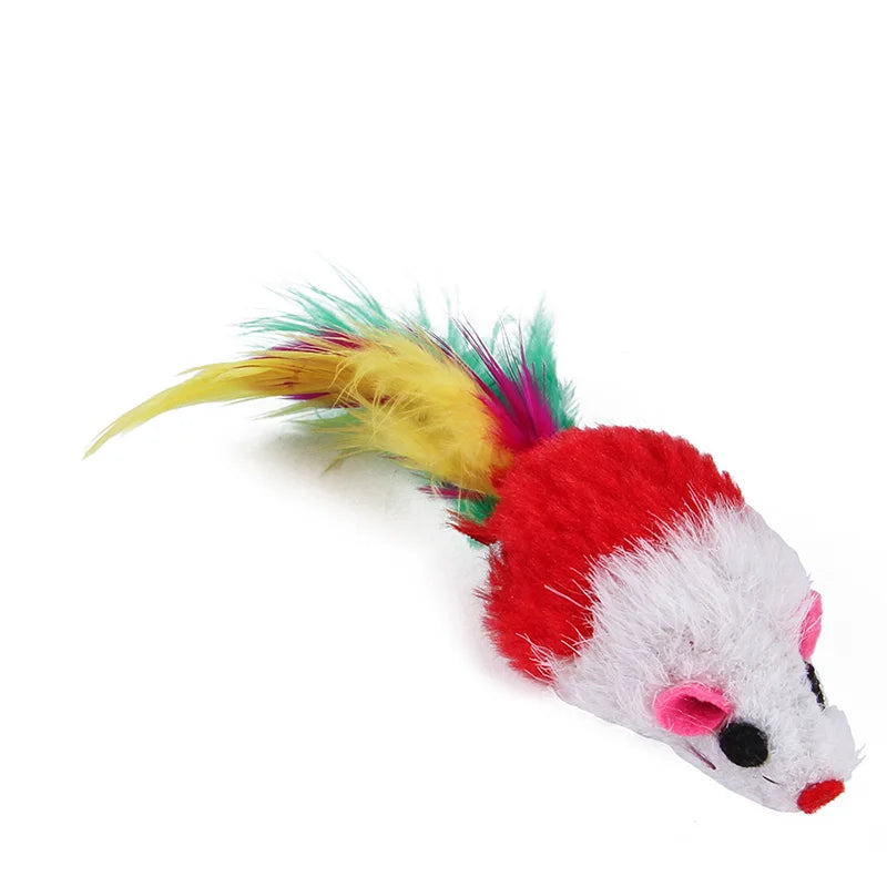 Kitten Toys Variety Pack Cat Toys Set For Curious Cats