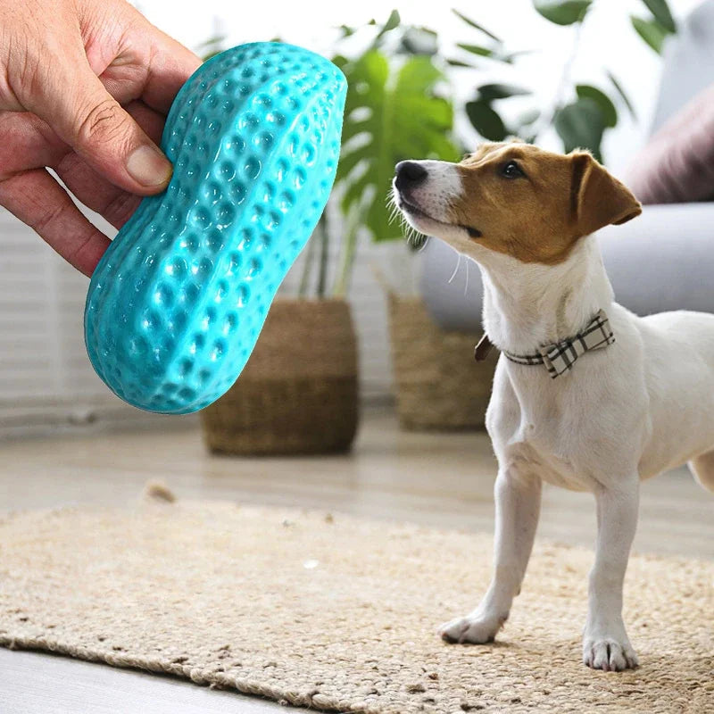 Peanut Shaped Dog Chew Toy Squeaky Interactive Rubber Pet Toy