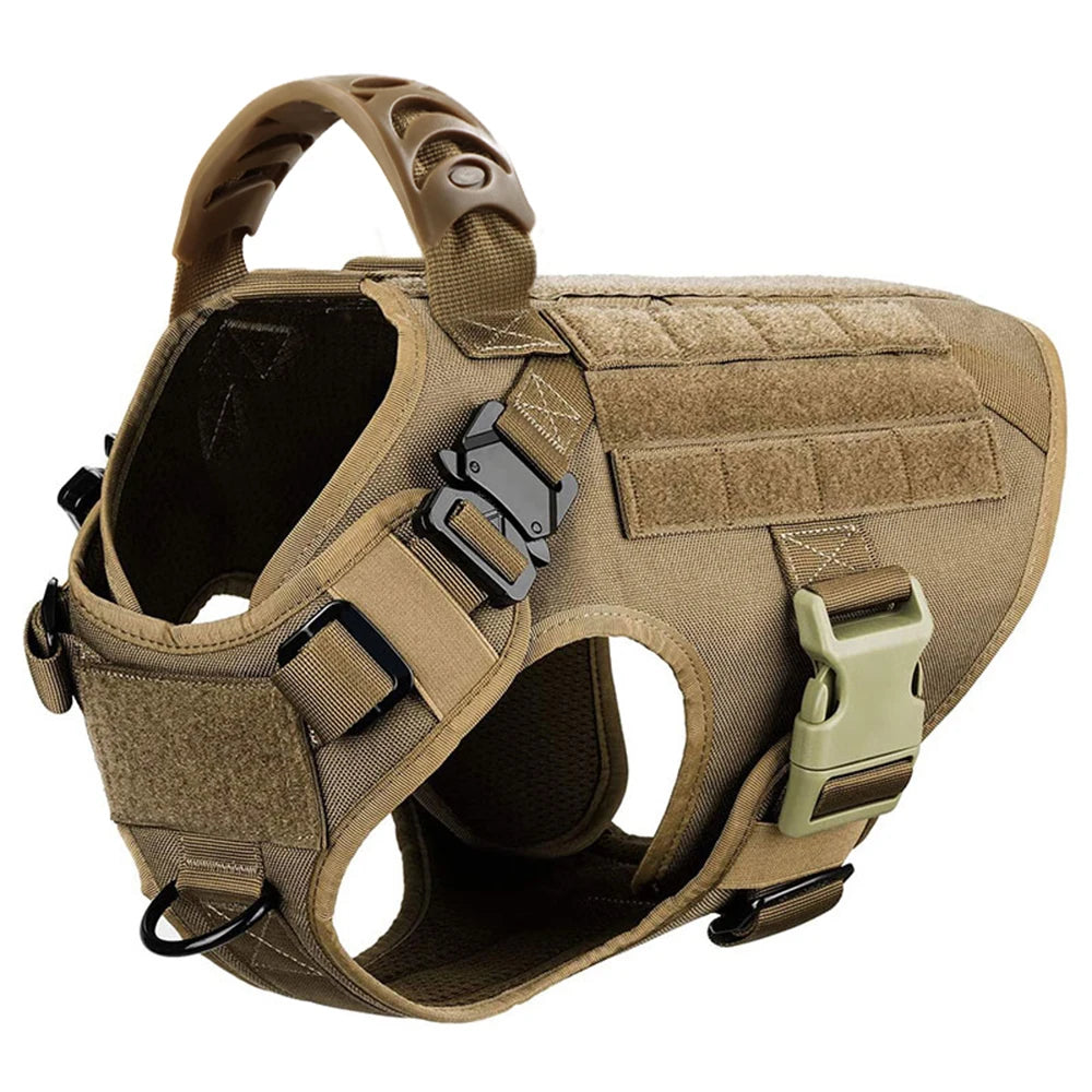 PETRAVEL CN Dog Harness And Leash Set