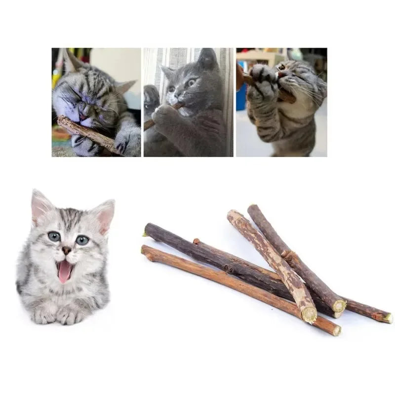 Silvervine Cat Chew Sticks Natural Catnip for Cats and Kittens