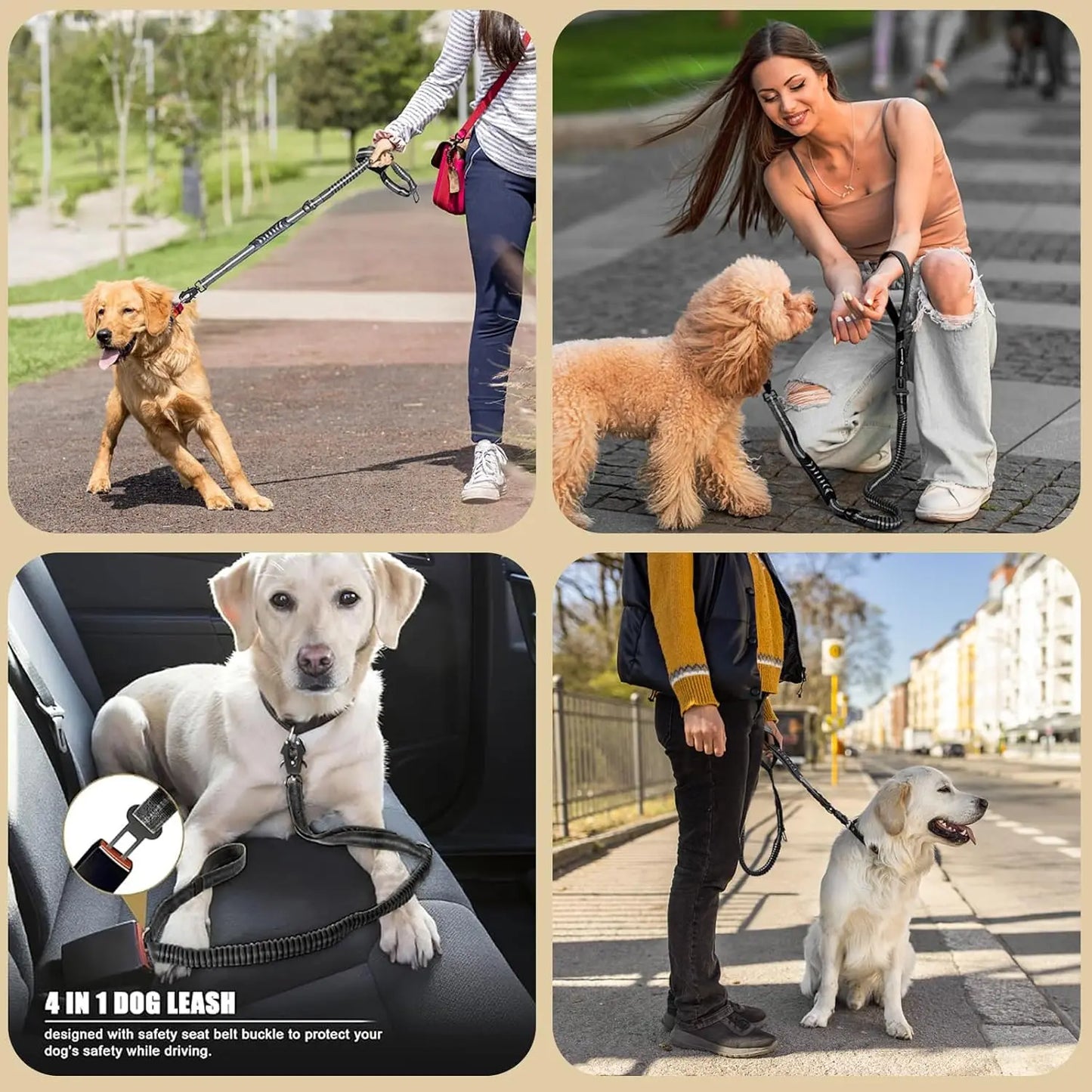 Reflective Shock Absorbing Tactical Dog Leash for Large Dogs