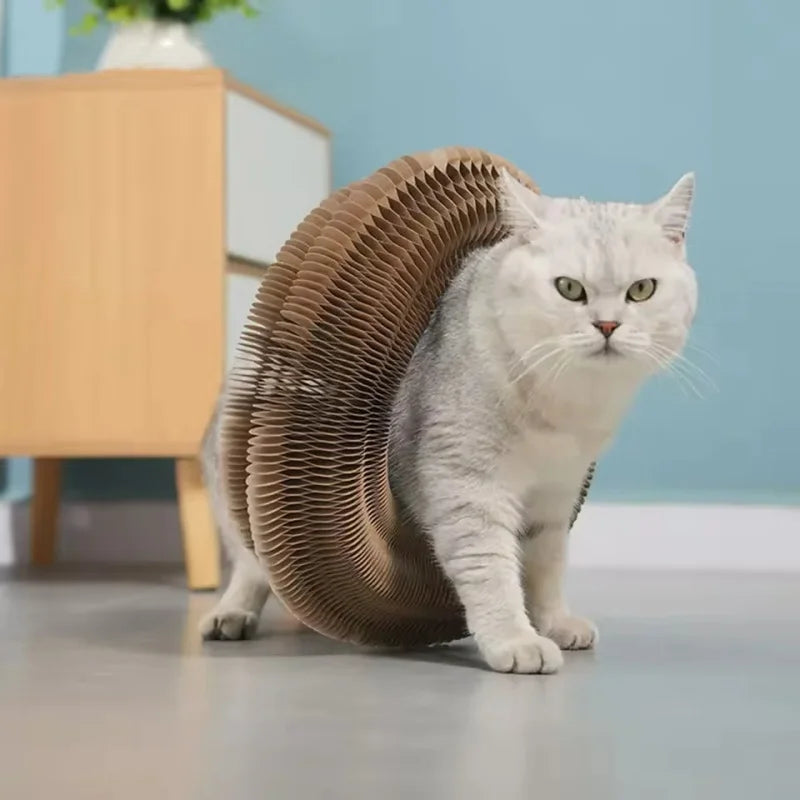 Cat Scratch Organ Board Toy With Ball For Indoor Cats
