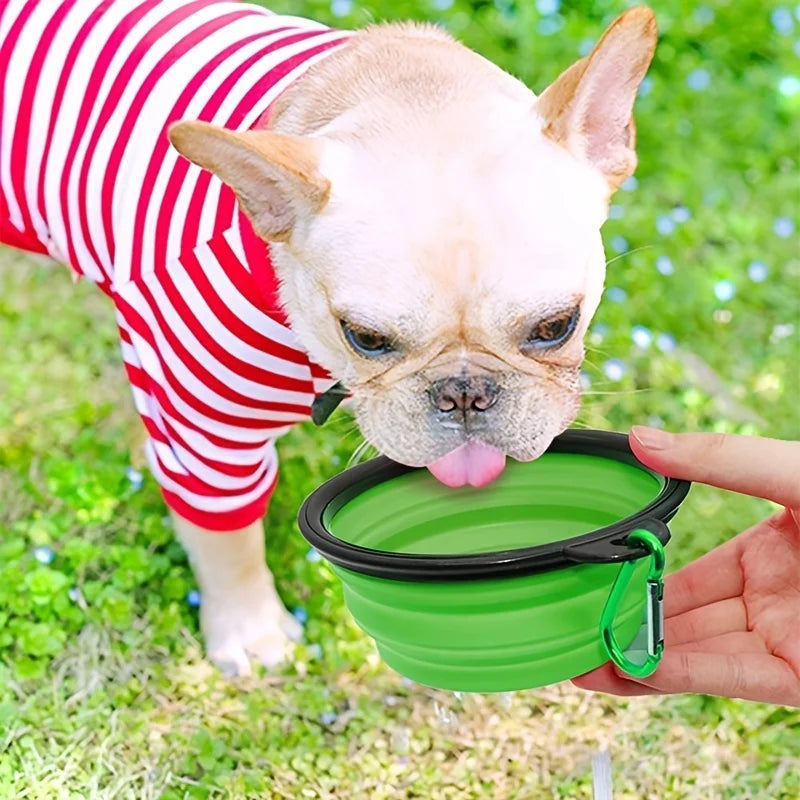 Durable Collapsible Portable Pet Food Bowl TPR Silicone For Dogs And Cats Travel
