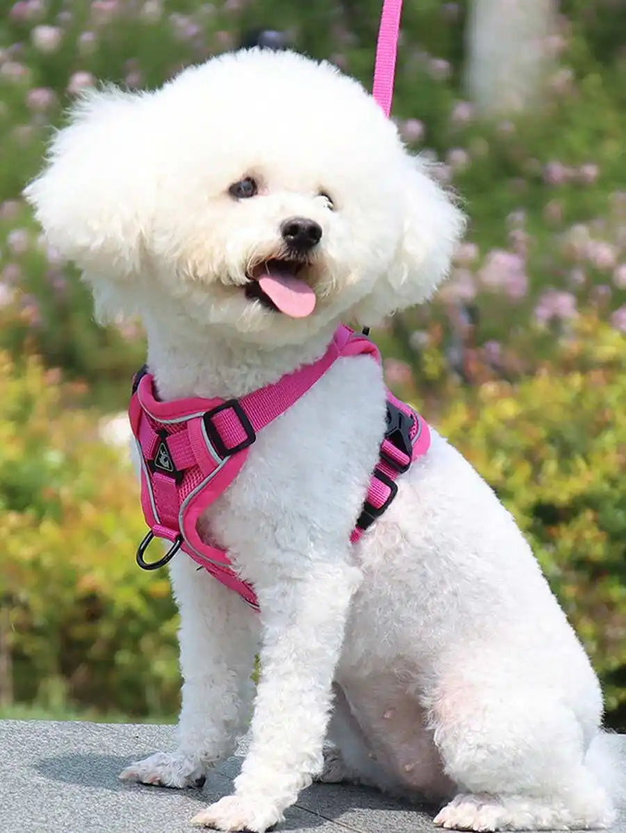 Reflective Pet Harness And Leash Set For Dogs And Cats EscapeProof Adjustable