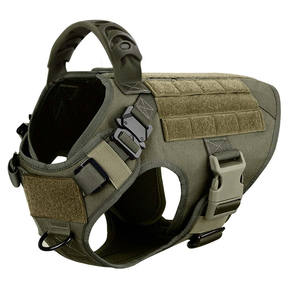 PETRAVEL CN Dog Harness And Leash Set